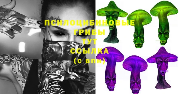 молекула духа Протвино