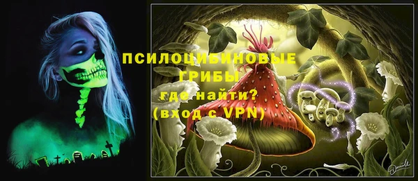 ECSTASY Пролетарск