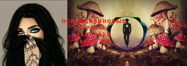 ECSTASY Пролетарск