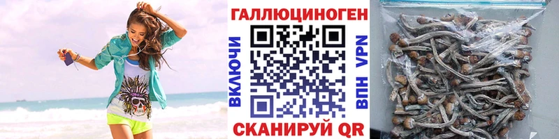 МЕГА онион  Снежинск  Псилоцибиновые грибы GOLDEN TEACHER  магазин  наркотиков 
