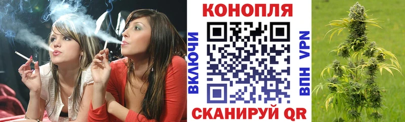 Марихуана сатива  Снежинск 
